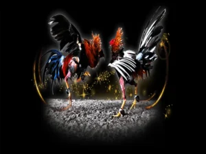 Hướng Dẫn Chi Tiết Cách Chơi Đá Gà Sabong Tại Bet88 3 Hướng Dẫn Chi Tiết Cách Chơi Đá Gà Sabong Tại Bet88