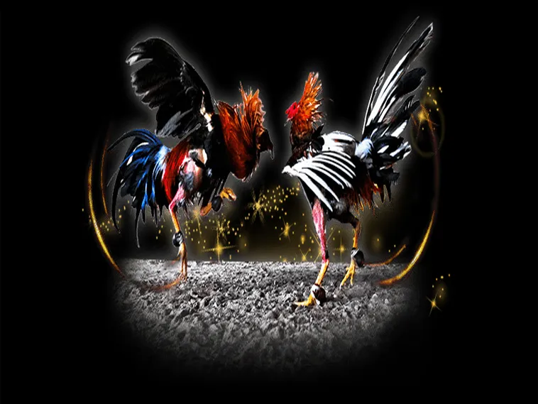 Hướng Dẫn Chi Tiết Cách Chơi Đá Gà Sabong Tại Bet88 1 Hướng Dẫn Chi Tiết Cách Chơi Đá Gà Sabong Tại Bet88