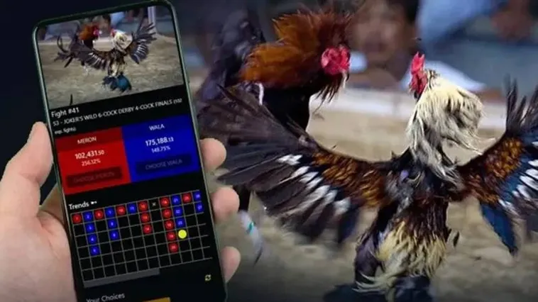 Khám Phá Đá Gà Bet88 Những Trận Đấu Kịch Tính Nhất 1 Khám Phá Đá Gà Bet88 Những Trận Đấu Kịch Tính Nhất